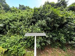 Blk 30 Telok Blangah Rise (Bukit Merah), HDB 3 Rooms #582442471